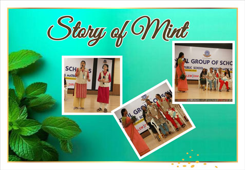 “Fresh thoughts, fresh smiles, and a pinch of mint magic.”