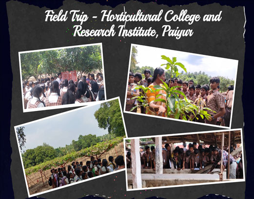 Students of Class VII understood modern horticultural practices, crop research, and sustainable farming methods. Students interacted with researchers, observed experimental plots, and learned about innovations in plant breeding, pest management, and post-harvest technology.