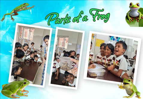 “Let children explore today, so they can understand the world tomorrow.”