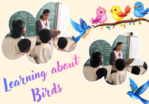 Our tiny tots  joyfully explored the lesson “Parts of a Bird” through observation, discussion, and activity-based learning.