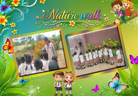 Today, our little learners stepped outside the classroom for a fun nature walk around the school. They used all five senses to explore — watching colourful flowers, hearing birds sing, touching leaves and bark, breathing in fresh air, and noticing the beauty around them.